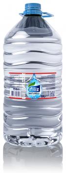 Filiz Naturell Quelwasser 5 Liter